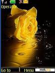 Download mobile theme animated yellow rose