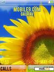 Download mobile theme YelloW_Flower