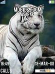 Download mobile theme Withe Tiger