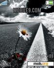 Download mobile theme Alone Flower