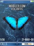 Download mobile theme TMC 206 Butterflies for w900