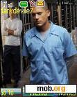 Download mobile theme prison break