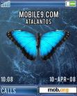 Скачать тему Blue Butterfly for W810