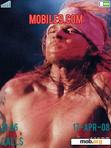 Download mobile theme Axl rose