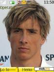 Скачать тему fernando_torres