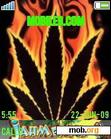 Download mobile theme GanJa