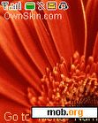 Download mobile theme Vista_Flower_by_PRATYUSH