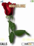 Download mobile theme rose