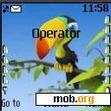 Download mobile theme Bird and Lion