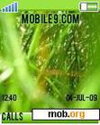 Download mobile theme Grass