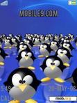 Download mobile theme penguins