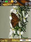 Download mobile theme natural_butterfly1