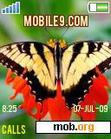 Download mobile theme Butterfly