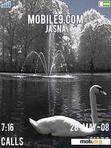 Download mobile theme Swan night