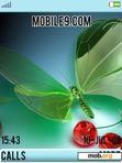 Download mobile theme glass_butterfly