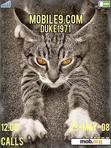 Download mobile theme cat