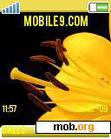 Download mobile theme Yellow Flower