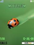 Download mobile theme Animal