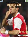 Download mobile theme arsenal