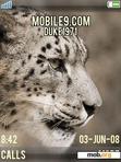 Download mobile theme big cat