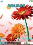 Download mobile theme Flowers