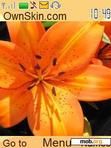 Download mobile theme Orange_lily