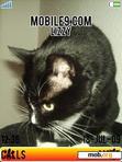 Download mobile theme Cat