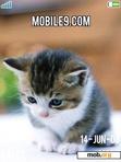 Download mobile theme Cute Kitties