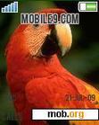 Download mobile theme animal