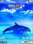 Download mobile theme Dolphins