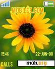 Download mobile theme sunflowers