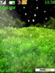 Download mobile theme Green Bubbles 2