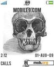 Download mobile theme Skull