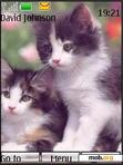 Download mobile theme Cute Kittens