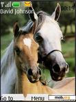 Download mobile theme Romantic Horses