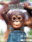 Download mobile theme Chimpanzee