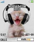 Download mobile theme Cool Cat