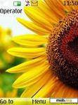 Download mobile theme sunflower