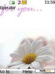 Download mobile theme White flower