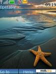 Download mobile theme Beautiful Starfish