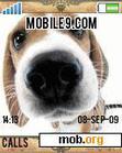 Download mobile theme Puppies Anim
