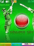 Download mobile theme cricket