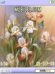 Download mobile theme bouquet garden