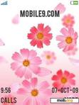 Download mobile theme nature