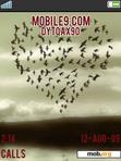 Download mobile theme Love birds