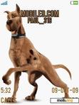 Download mobile theme Scooby doo