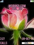 Download mobile theme Rose Flower