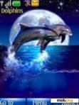 Download mobile theme dolphins