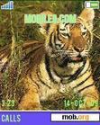 Download mobile theme tiger