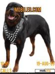 Download mobile theme rott_weiler